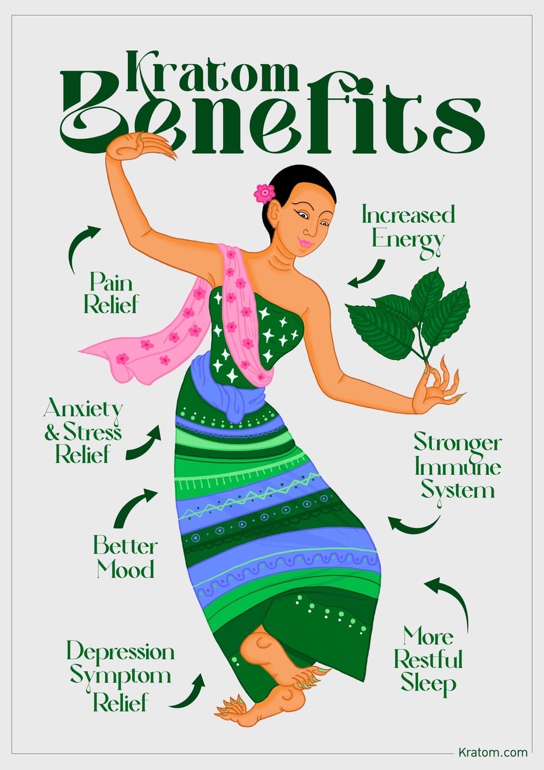 Illustrated traditional-use kratom overview