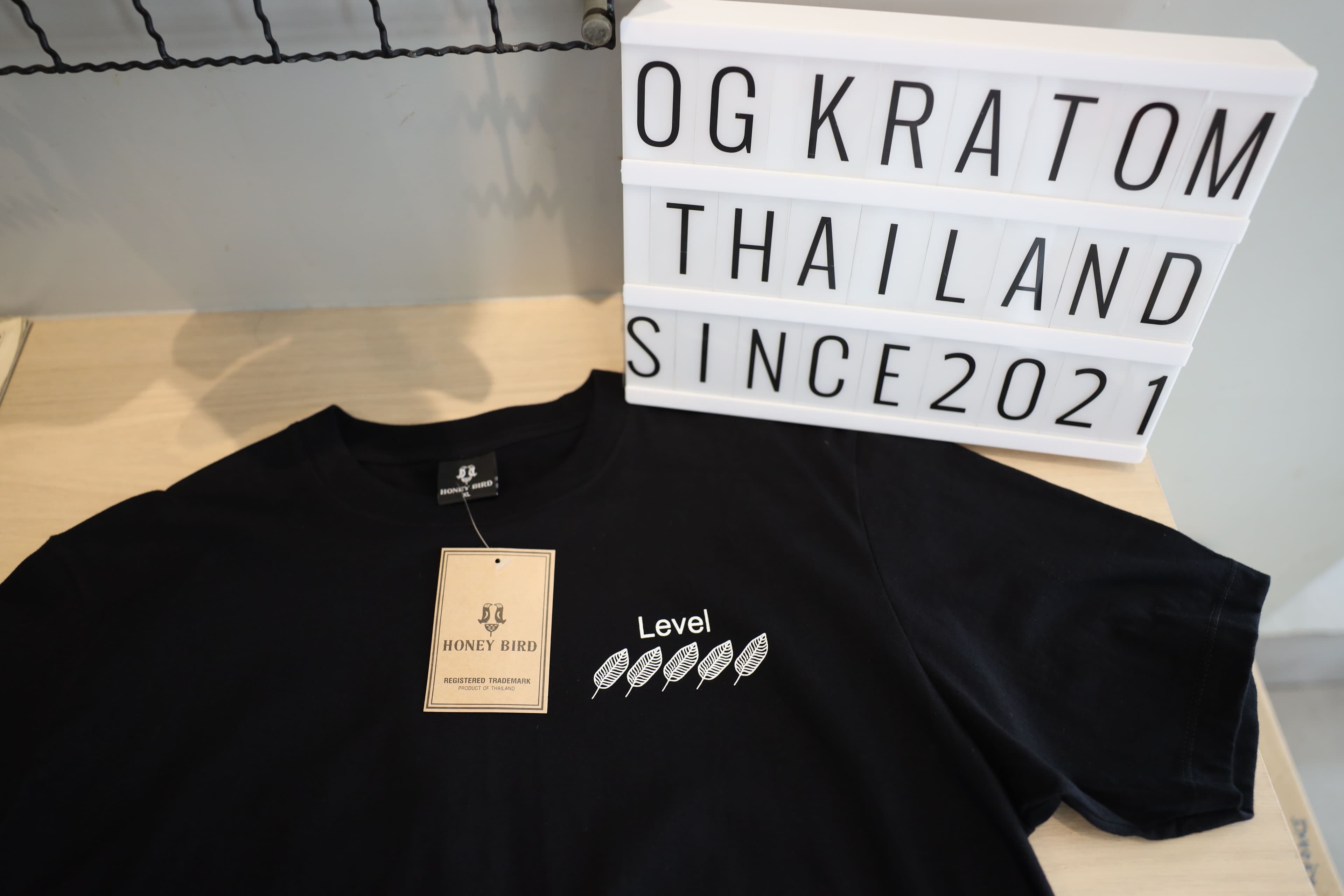 OG Big Logo Tee — additional view 1